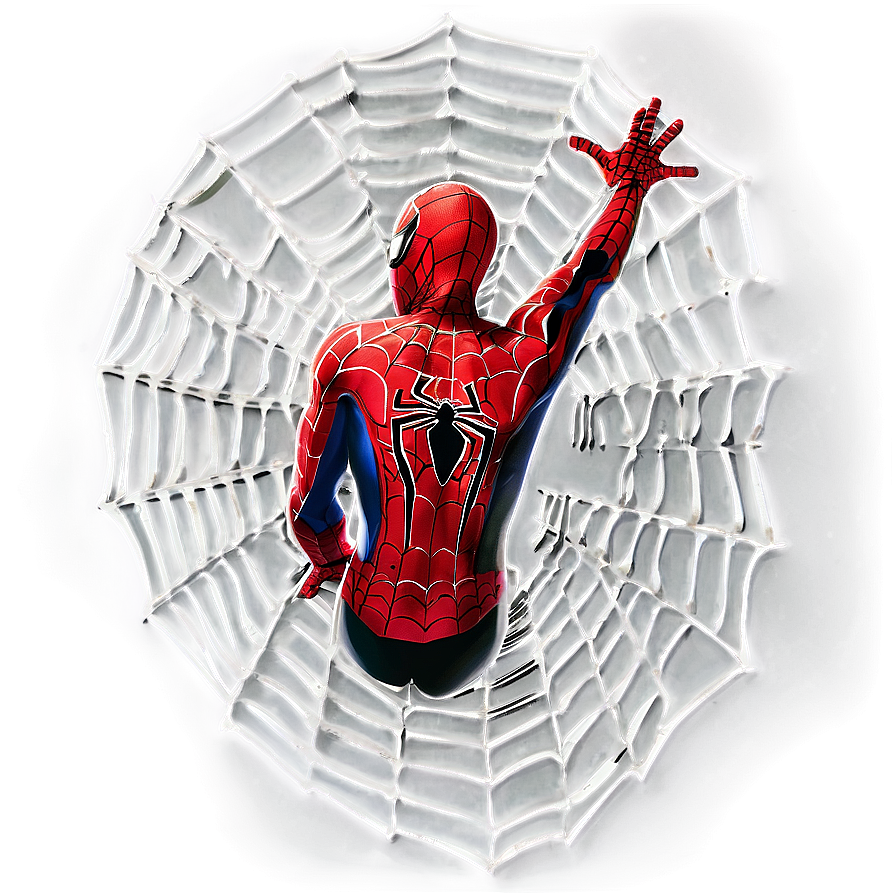 Spider Man Web D