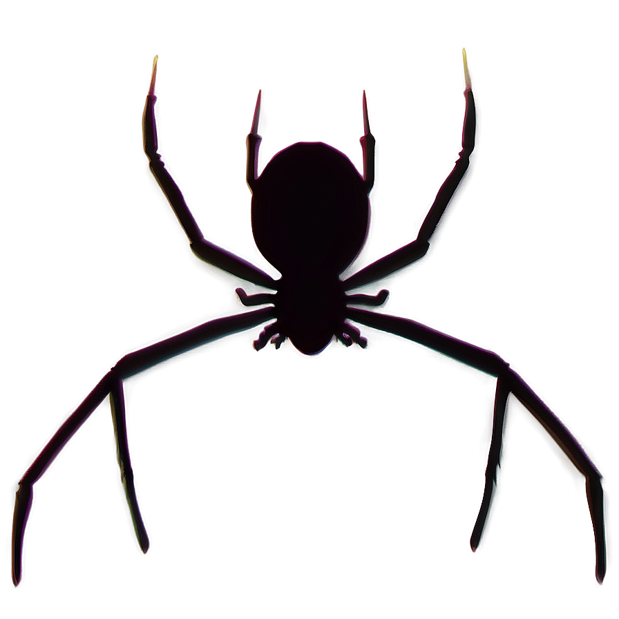 Spider Silhouette Png 05042024