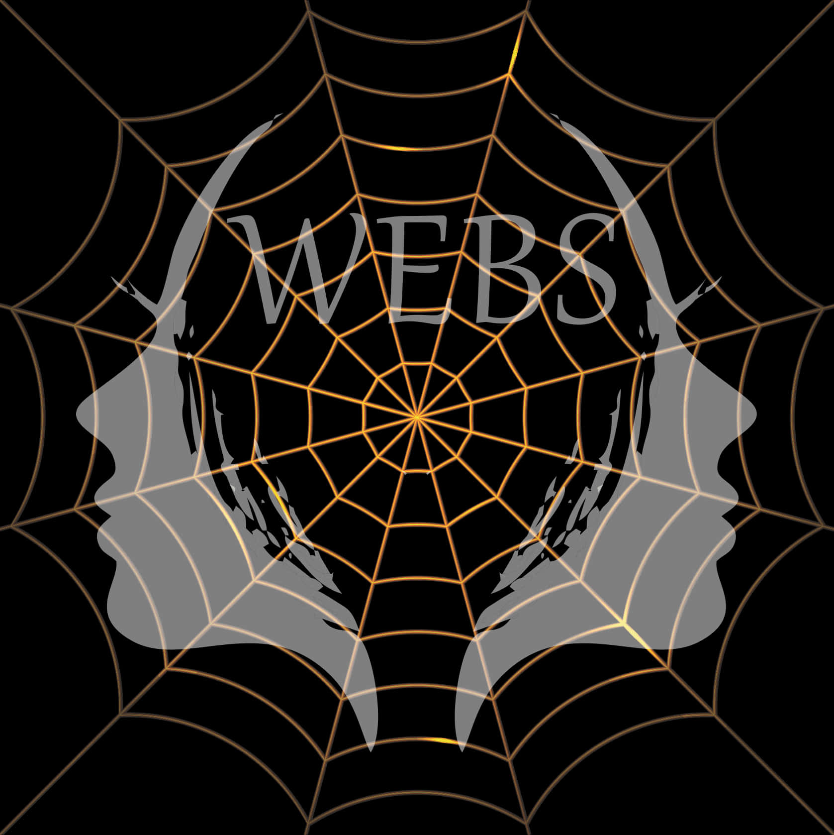 Spider Web Artistic Design