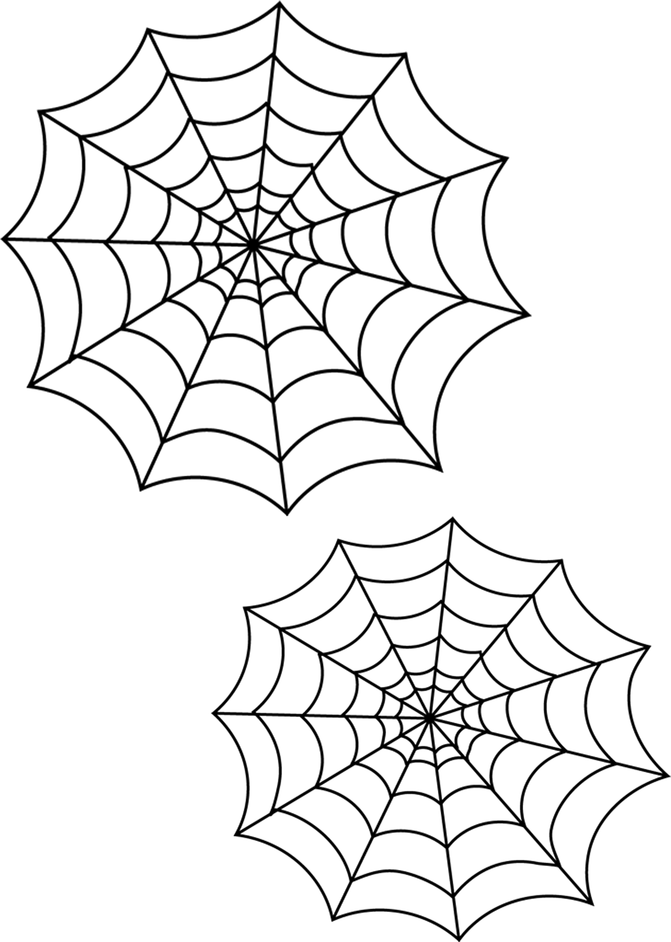 Spider Web Duo Graphic