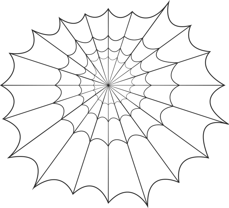 Spider Web Graphic Design