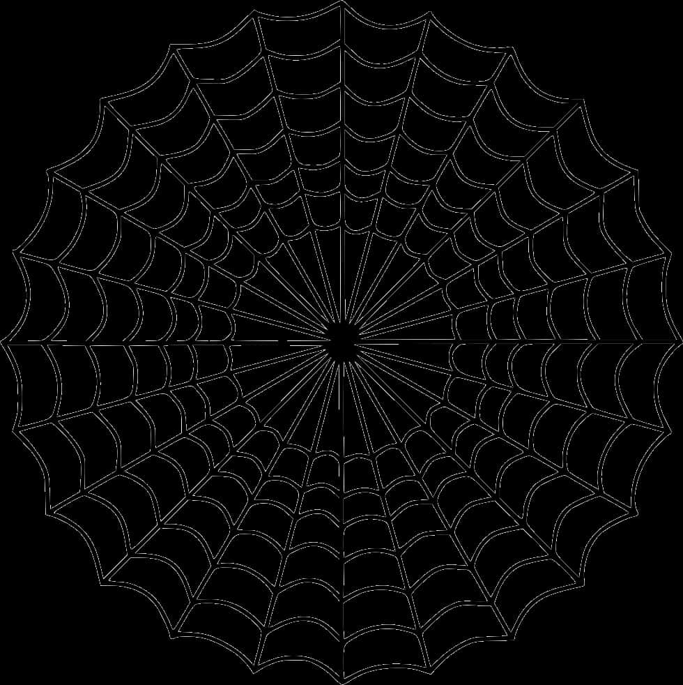 Spider Web Graphic Design