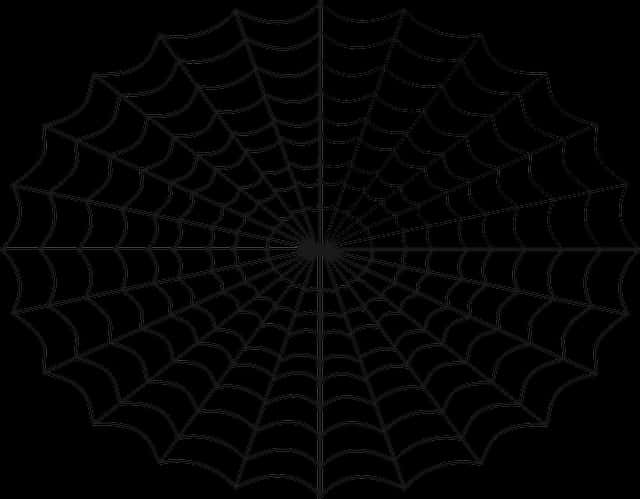 Spider Web Pattern Black Background