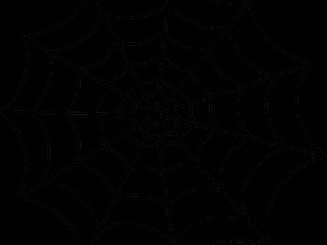 Spider Web Pattern Graphic