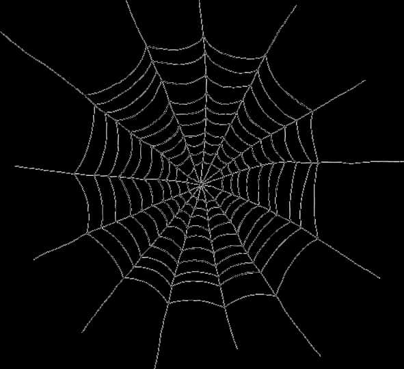 Spider Web Silhouette