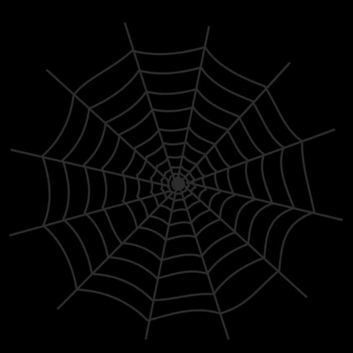 Spider Web Silhouetteon Black Background