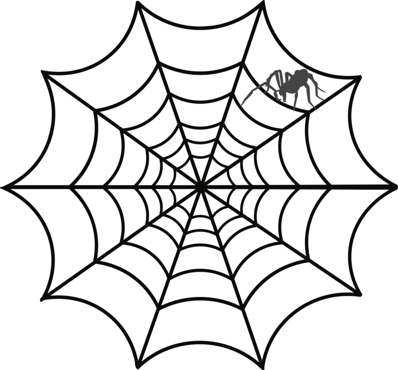 Spider Webwith Spider Graphic