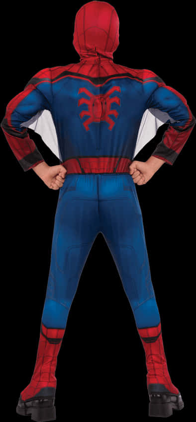 Spiderman Costume Back Pose