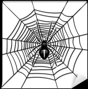 Spideron Web Graphic