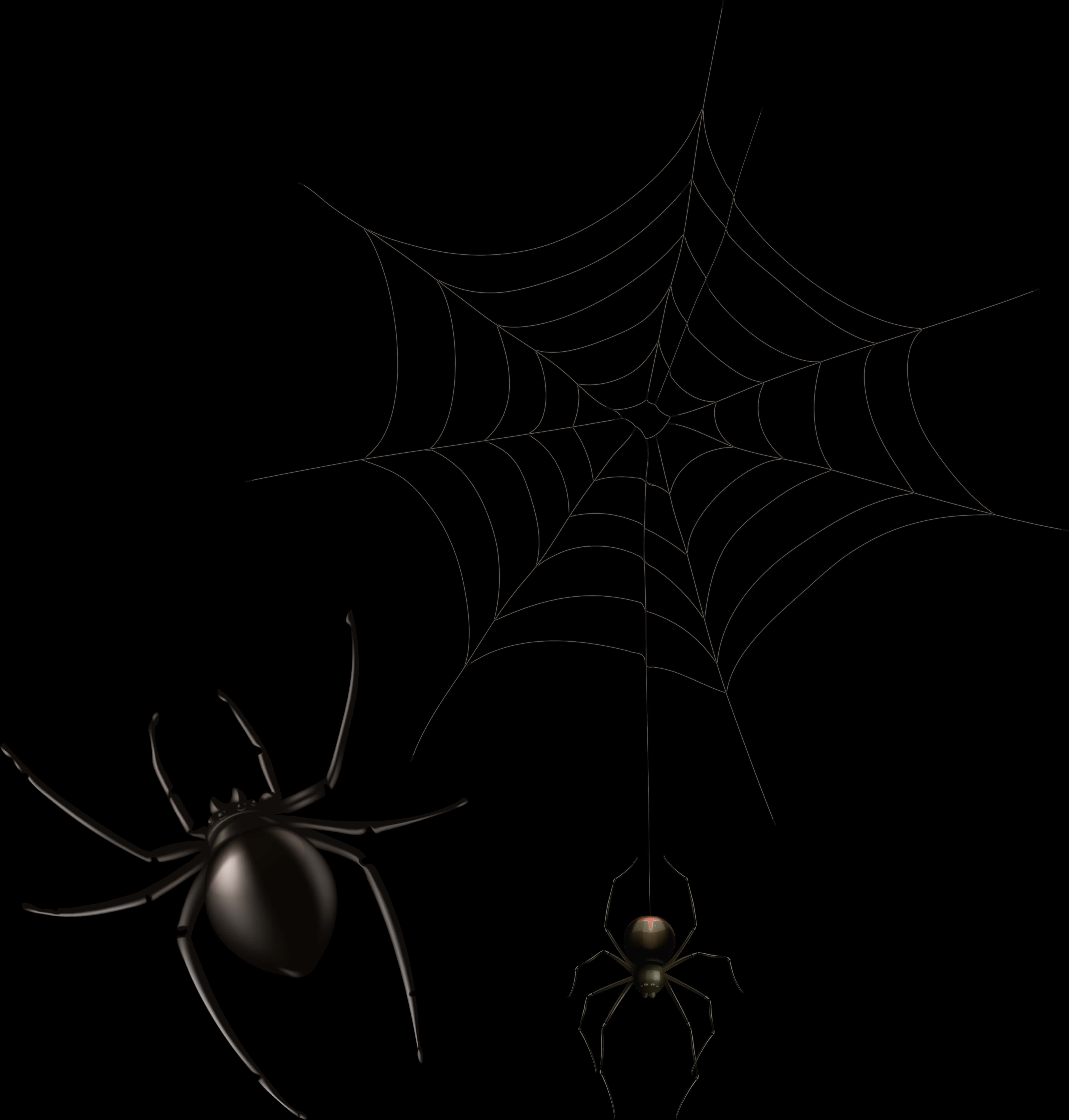 Spiders_on_ Web_in_ Darkness