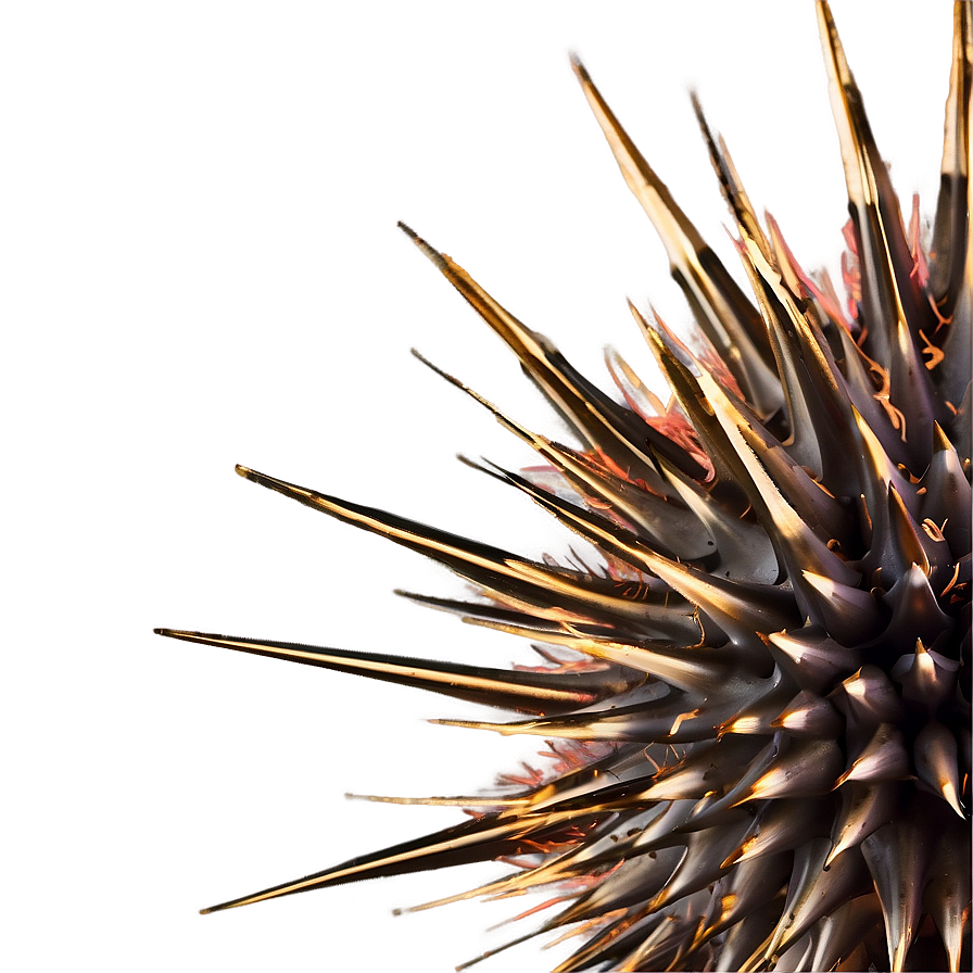 Spiky Hair Texture Png Chh16