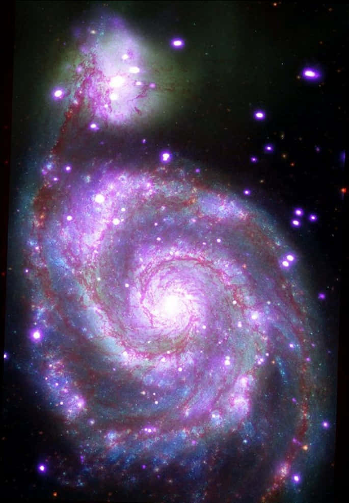 Spiral Galaxy Majesty