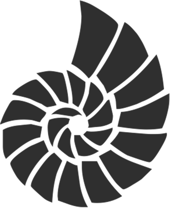 Spiral Shell Graphic