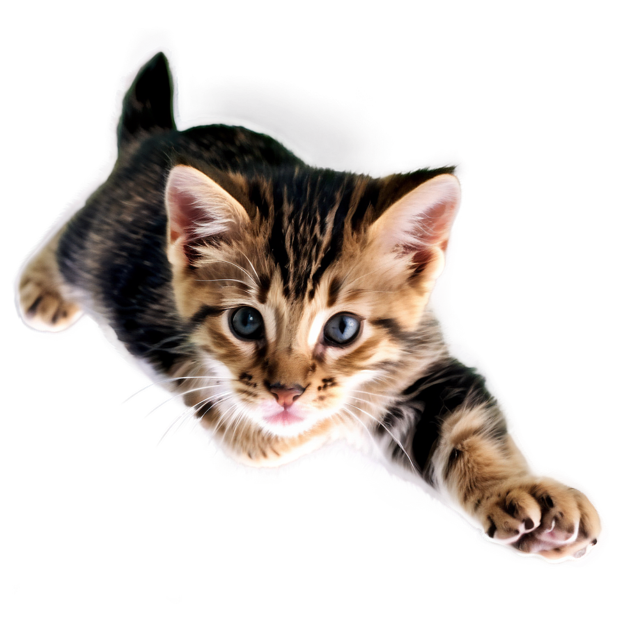 Spirited Kitten Leap Png 98