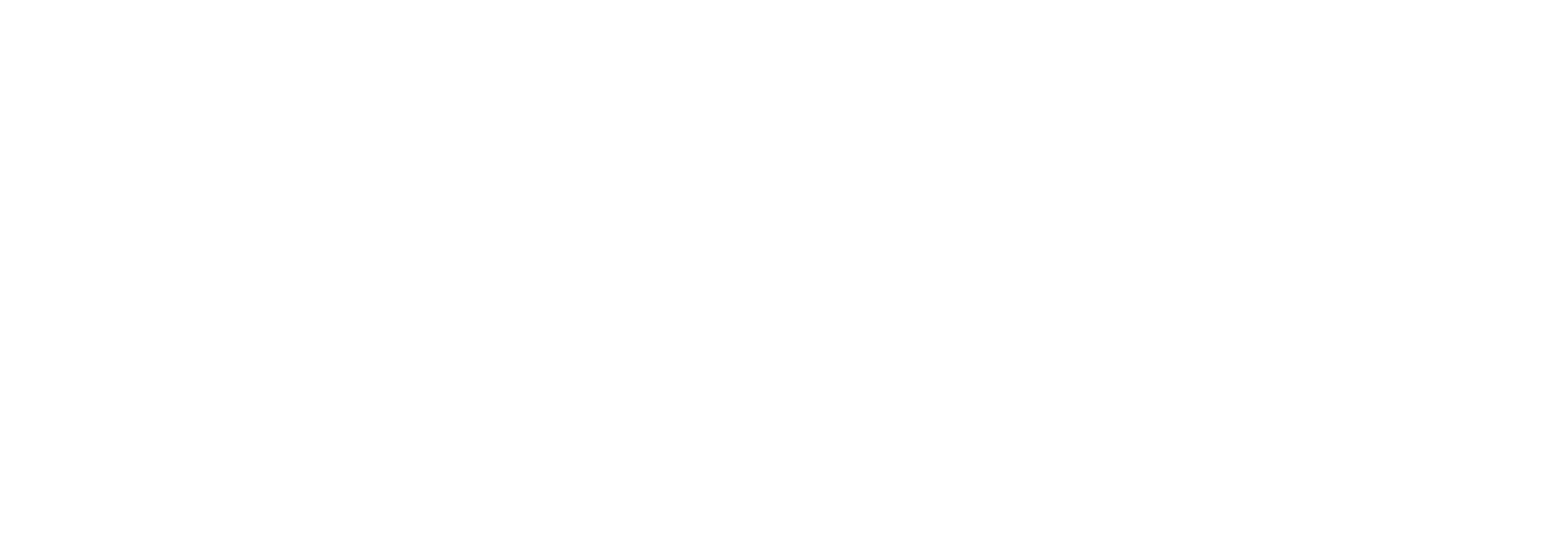 Sport Experience Logo