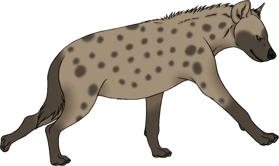 Spotted Hyena Illustration