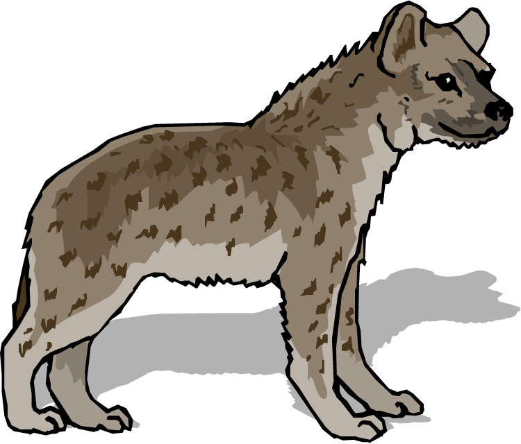 Spotted Hyena Illustration.png