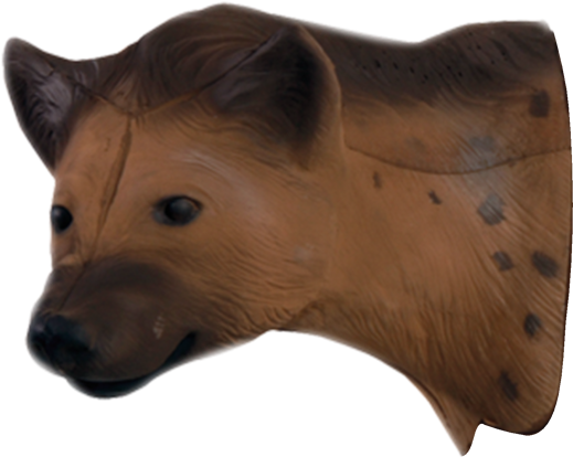 Spotted Hyena Mask Profile