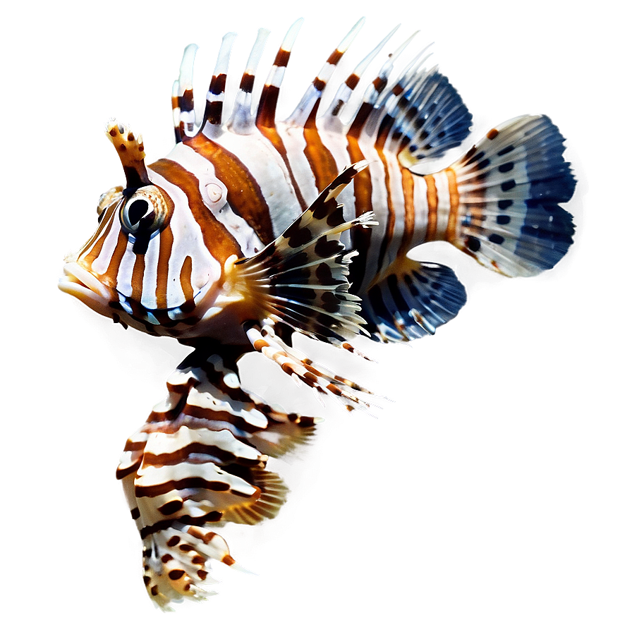 Spotted Lionfish Png 60