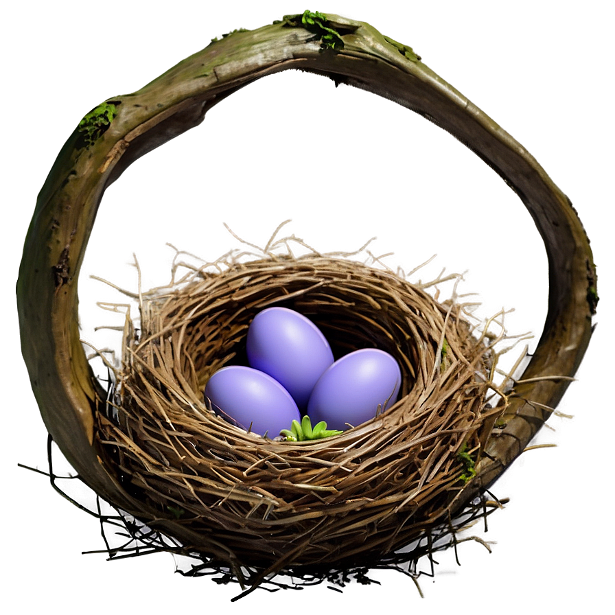 Spring Bird Nest Png Dmd