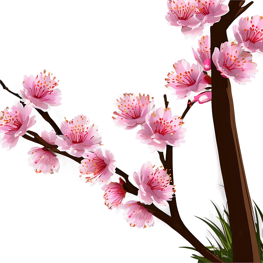 Spring Cherry Blossom Scene Png Kuc