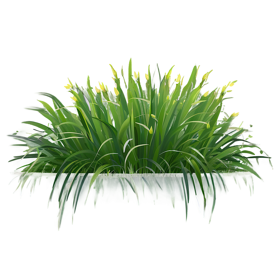 Spring Grass Clipart Png 06272024