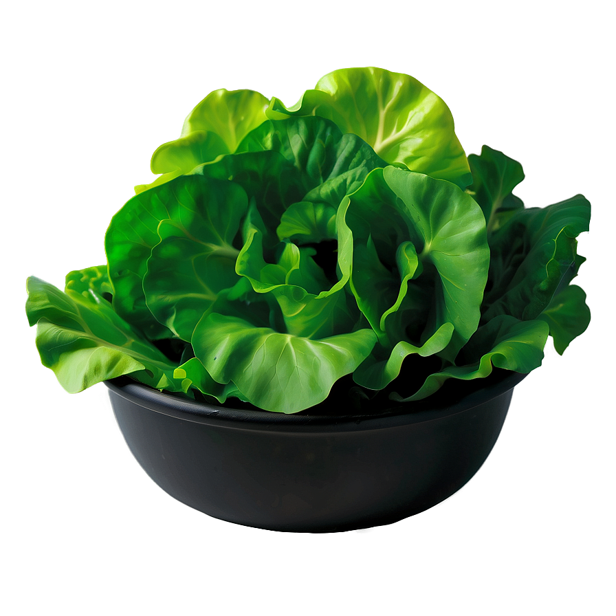 Spring Mix Lettuce Png 14