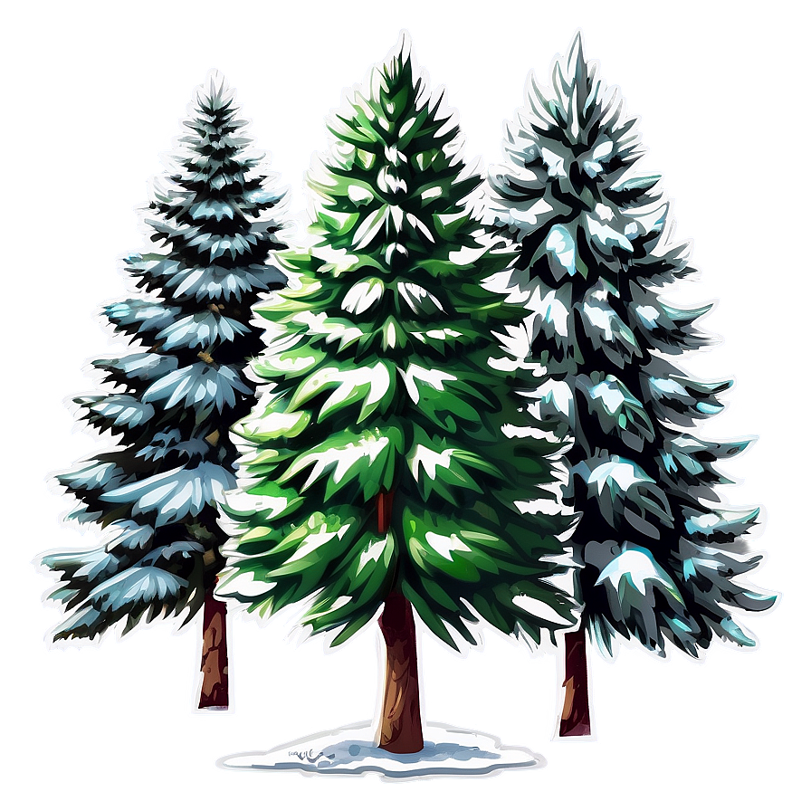 Spruce Tree Line Art Png 06132024