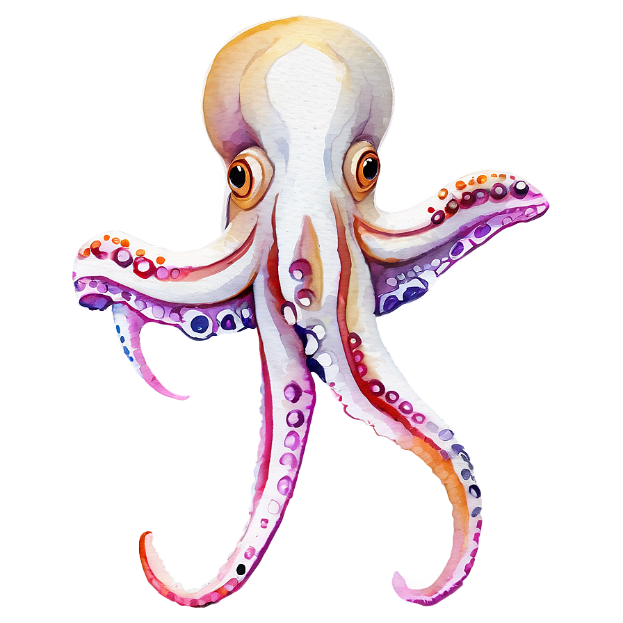 Squid In Watercolor Png 68