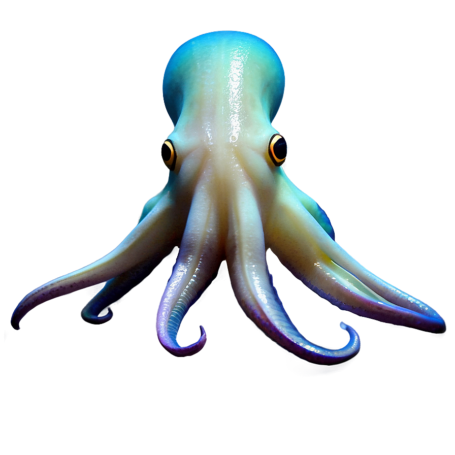 Squid Underwater Scene Png 20