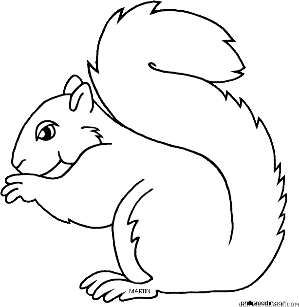 Squirrel_ Line_ Art_ Illustration