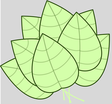 Stacked Green Leaves Illustration