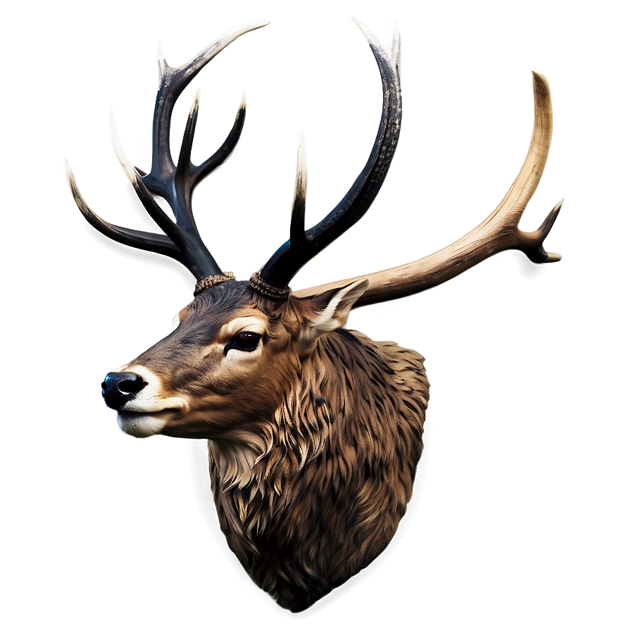 Stag Head Profile Png 06292024