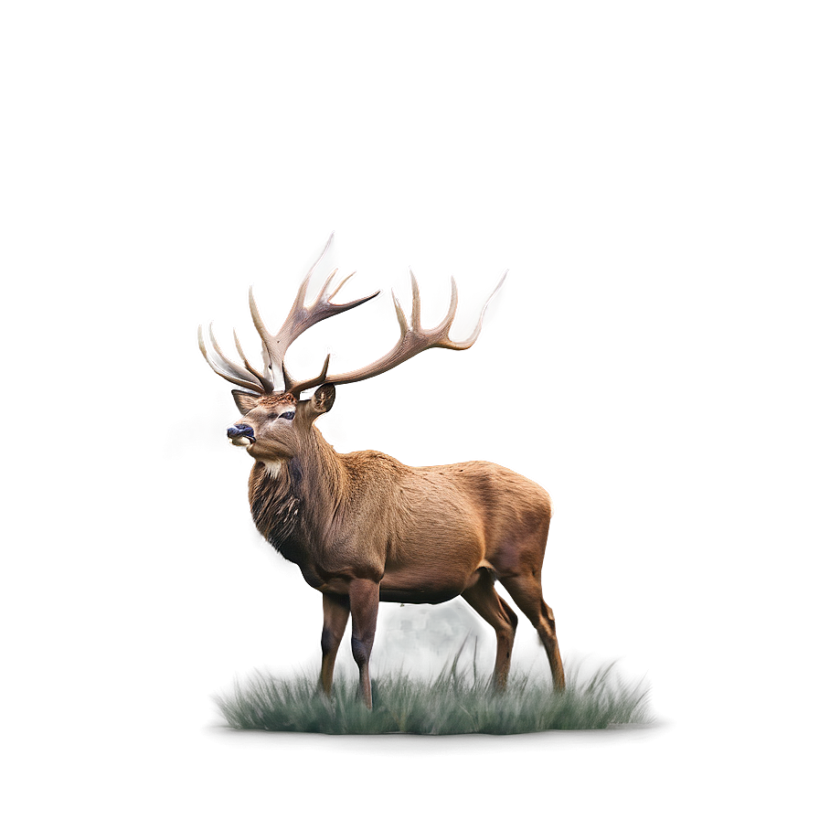 Stag In Mist Png 1