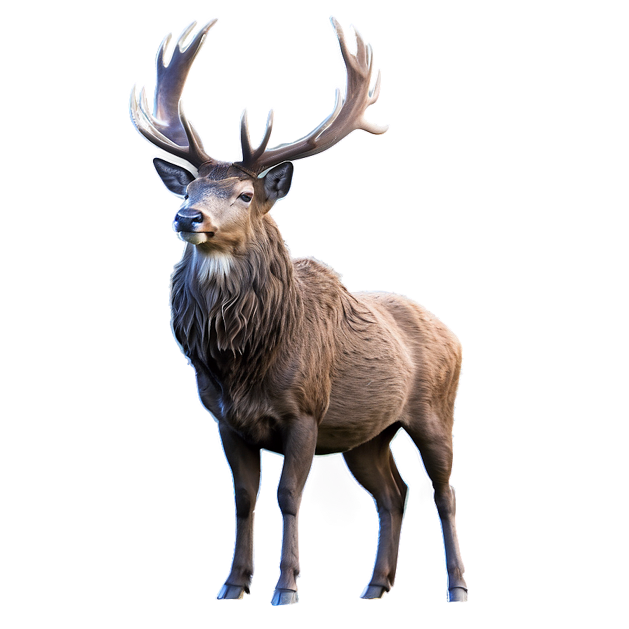 Stag In Mist Png Yob