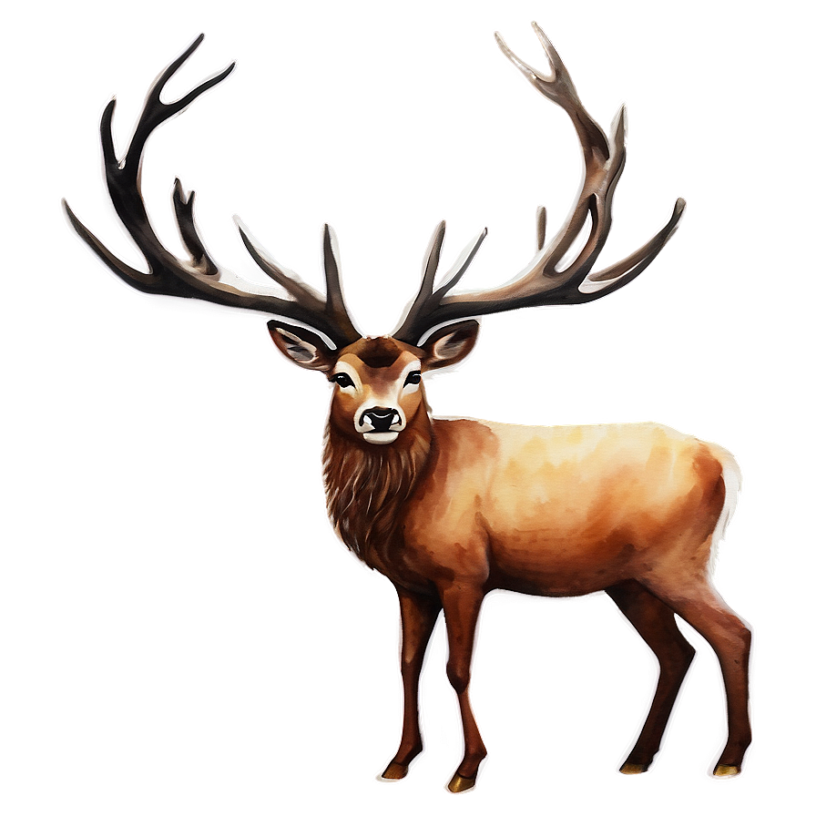 Stag Watercolor Painting Png 17