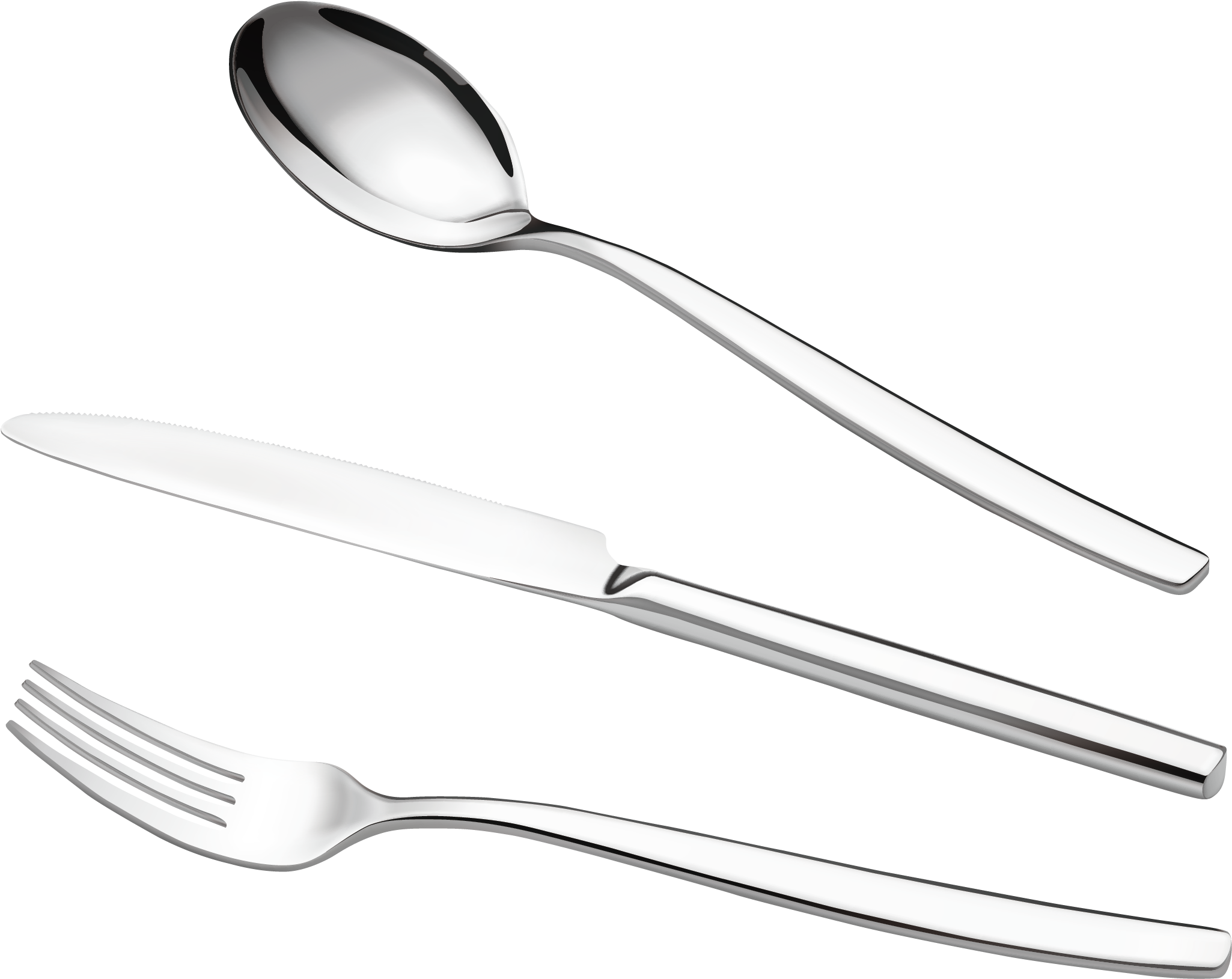 Stainless Steel Cutlery Set