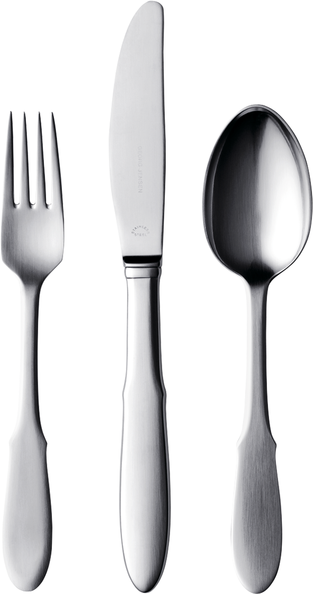 Stainless Steel Cutlery Set