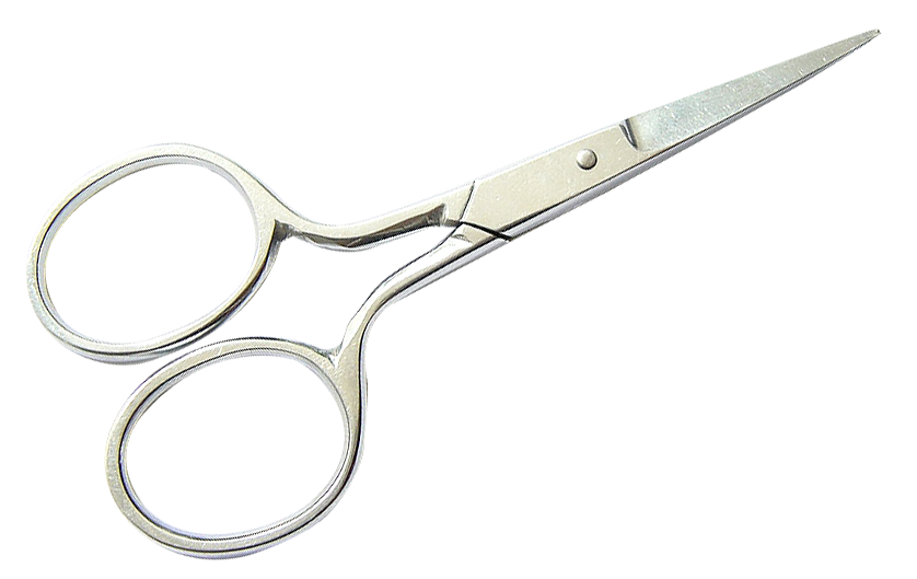 Stainless Steel Scissors Isolated