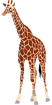 Standing Giraffe Cartoon Illustration