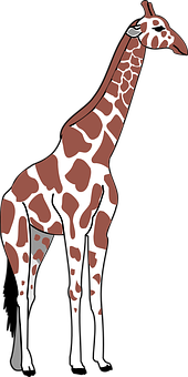 Standing Giraffe Illustration