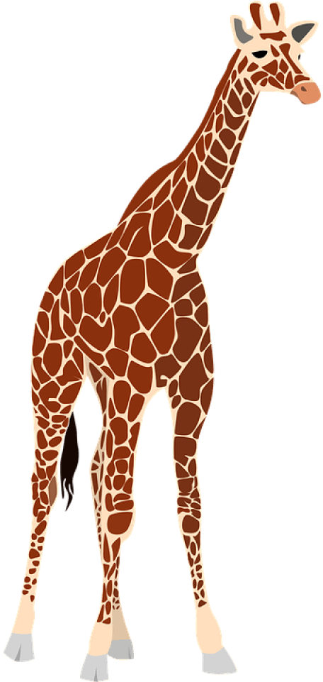 Standing Giraffe Illustration.png