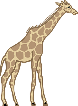 Standing Giraffe Vector Illustration