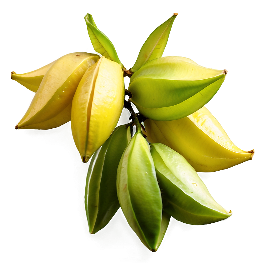 Star Fruit Cluster Png 06252024