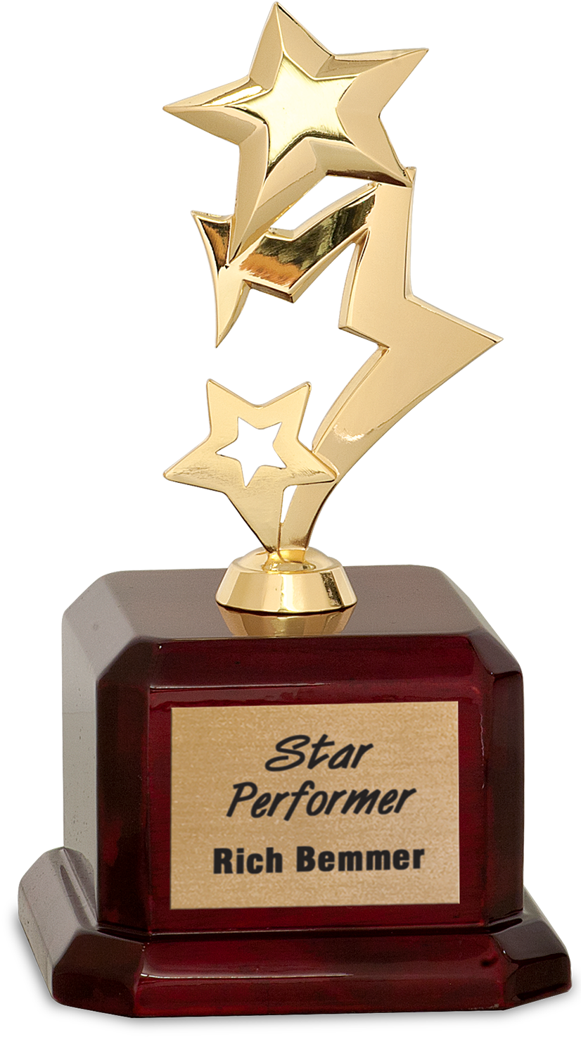 Star Performer Award Trophy