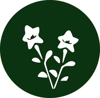 Star Shaped Flowers Icon