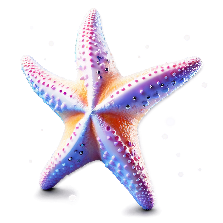 Starfish In Dreamy Style Png Ibo