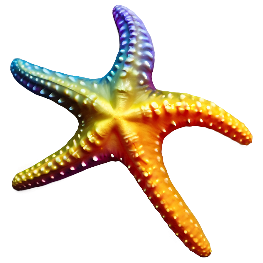 Starfish Silhouette Png 49