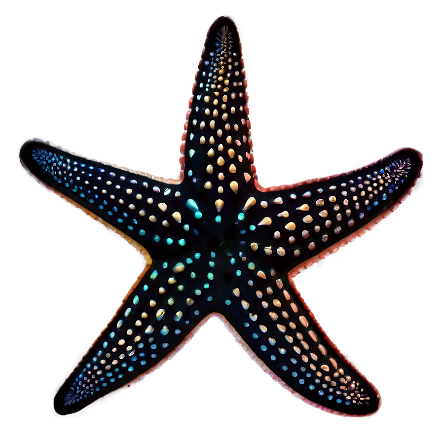 Starfish Silhouette Png Gjw20