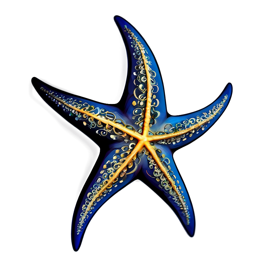 Starfish Tattoo Style Png Glr28